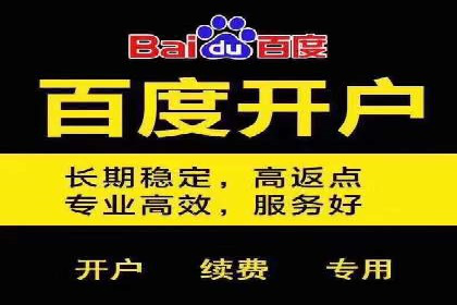 百度广告投放技巧与案例分享